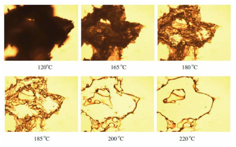 Optical micrographs of CA-g-PLA copolymers heating at different temperatures (DSCA = 1.97, DSPLA = 0.47, MSPLA = 2.25).