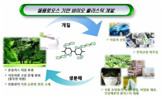 셀룰로오스 기반 바이오플라스틱 소재의 자연 선순환 구조.