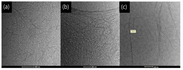 (a) 19k, (b) 29k, (c) 62k 배율에서의 Nanocellulose TEM 사진(200kV).