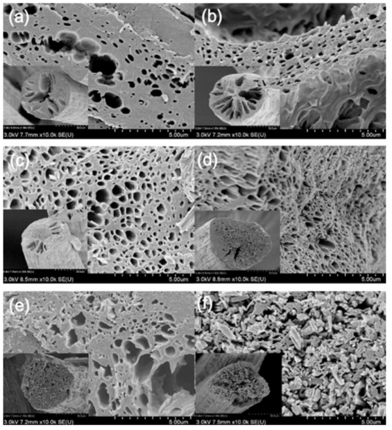 PAN/PVA 탄소섬유와 활성화된 PAN/PVA 탄소섬유의 SEM 단면 사진