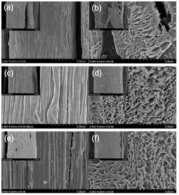 PAN/PVA 탄소섬유와 활성화된 PAN/PVA 탄소섬유의 SEM 표면사진