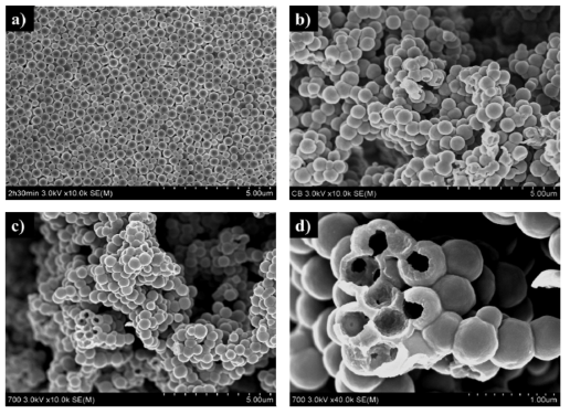 (a) 가교된 PMMA (b) 가교된 PMMA/Glu, (c, d) Hollow CB의 SEM 이미지.