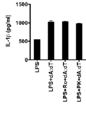 TSPO ligand는 AIM2 inflammsome activation에는 억제효과가 없음을 확인.