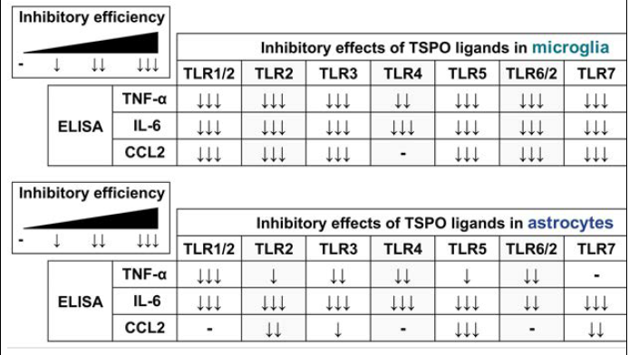 TLR ligands유도에 의한 미세아교세포와 성상세포의 친염증반응을 억제하는 TSPO ligands의 효과