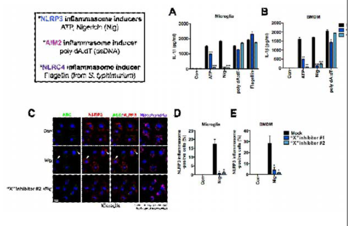 “X” inhibitors는 NLRP3 inflammasome activation을 억제함.