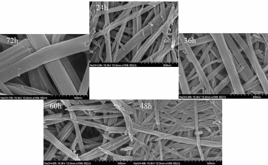 SEM images of nanotuble TiO2 synthesized at 147℃