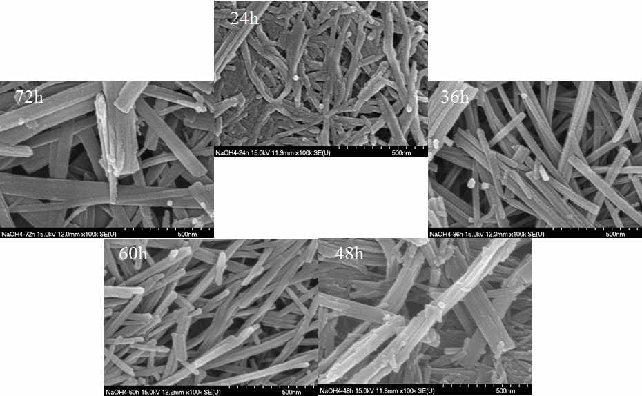 SEM images of nanotuble TiO2 synthesized at 157℃