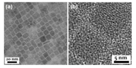 TEM images of CsPbBr3NCs synthesized from reverse exchange reactions of CsPbI3.