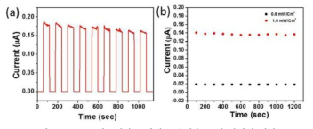 CsPbI3 나노입자를 광전류 응답속도 및 안정성 변화