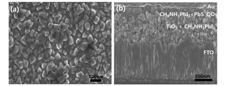Top view SEM image of (a) PbS-coated perovskite films. Cross-sectional SEM image of TiO2 / CH3NH3PbI3 / PbS / Au