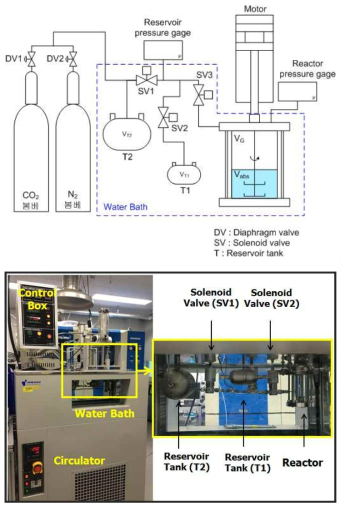 구축된 용해도 측정 설비 모식도 및 사진