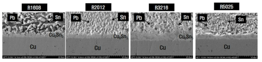 초기 Chip Resistor의 Sn-40Pb 솔더 접합부 금속간화합물 분석 SEM 사진