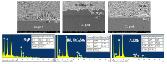 초기 SAC305 무연솔더 접합부의 금속간화합물 분석 SEM 사진