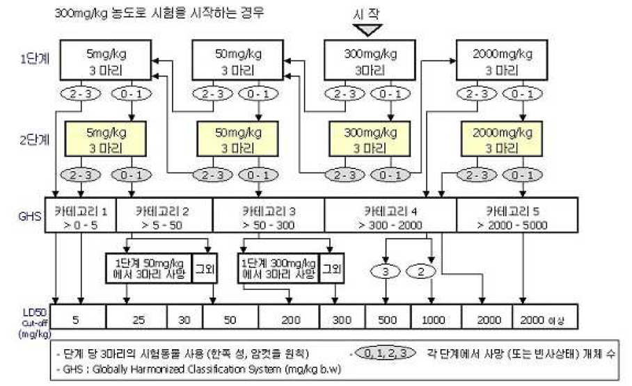 본시험 단계의 흐름도