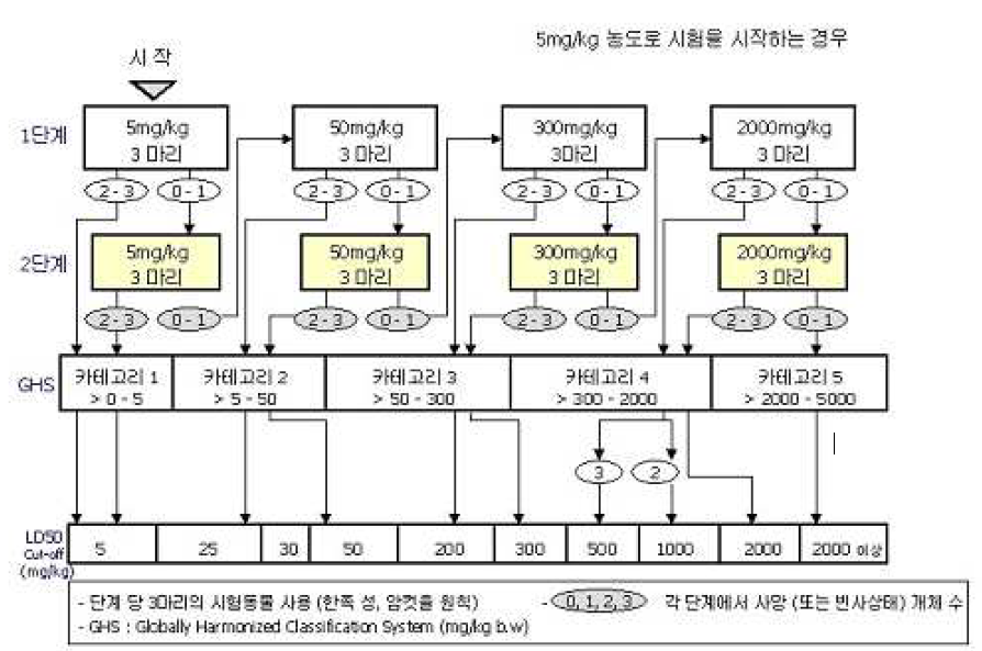 본시험 단계의 흐름도