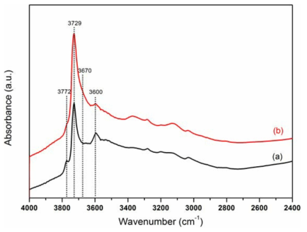 500℃에서 탈수된 (a) BEA 제올라이트와 (b) Fe-BEA 촉매의 in-situ DRIFTS spectra.