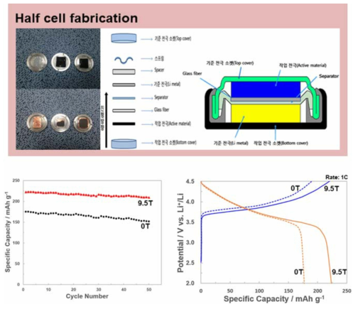LCO 결정배향체를 적용한 half cell 제조 및 충 · 방전 테스트 결과