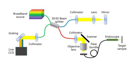 스펙트럼 영역 광결맞음 단층촬영기반 내시경시스템 모식도