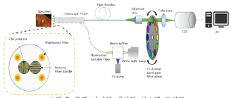 분광 이미징 내시경 시스템 모식도