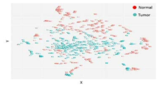 암조직과 정상조직(50건)의 질량스펙트럼 변이에 대한 t-SNE 분석