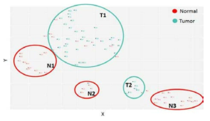 암조직과 정상조직 90건의 질량 스펙트럼 변이에 대 한 t-SNE 분석