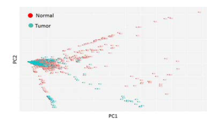 암조직과 정상조직(50건)의 질량스펙트 럼 변이에 대한 PCA 분석