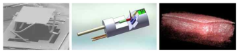 Electro-thermal 2D MEMS 미러(왼쪽) 기반 OCT 내시경 시스템 개략도(중앙) 및 3D mouse tongue image(오른쪽)