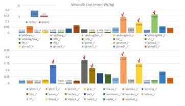 근육의 Metabolic Cost