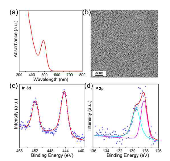 InP 코어 나노입자의 광학적 특성 및 구조분석 결과