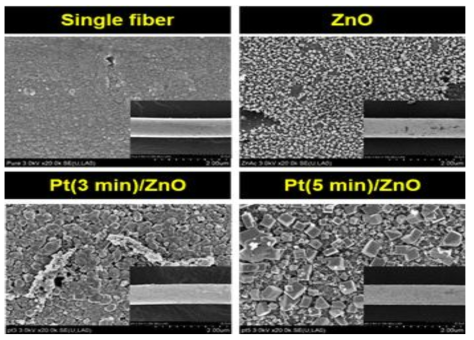 전기증착 및 광증착 한 Single fiber의 SEM 사진.