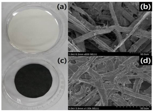 (a, b) Filter Paper, (c, d) FPC-600의 SEM 이미지.