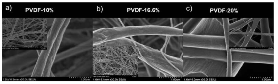 중량비에 따라 방사된 PVDF 나노섬유의 SEM 사진.