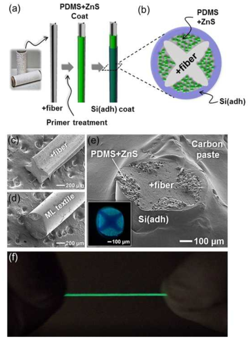 (a) 개선된 ML 섬유의 제조 공정 개략도, (b) ML 섬유의 단면 개략도, (c) 십자 섬유 및 (d) - (e) ML 섬유의 SEM 이미지, (f) 스트레칭에 의한 ML 섬유 발광 이미지.