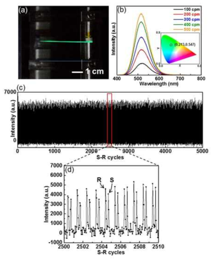 (a) 40 % 신장률의 S-R 운동 (300 cpm) 에서의 ML 섬유 발광 이미지, (b)S-R 운동 에서의 ML 스펙트럼 (int. time = 3 초) 및 색좌표 (500 cpm), (c) 5000 사 이클 S-R 운동 (60 cpm)의 분광 강도 (400 nm ~ 800 nm 범위, 50 ms), (d) (c)의 확대도.