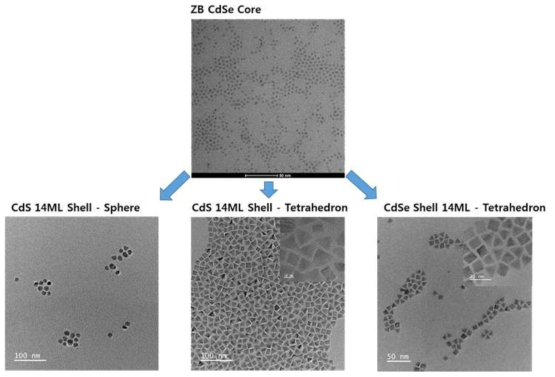 CdSe 양자점 기반 핵/껍질 구조 양자점의 형태 제어.