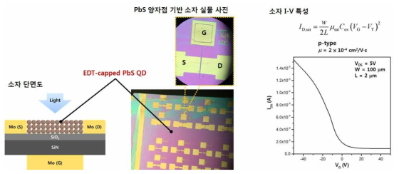 PbS 양자점 기반 광센서 테스트 소자 구조 및 I-V 특성 결과