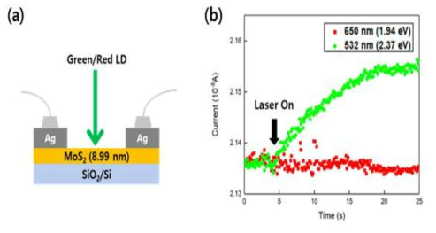 (a) MoS2(700 ℃, 250 mTorr)/SiO2/Si 구조의 소자 모식도와 (b) Photo-current 특성을 나타낸 그래프