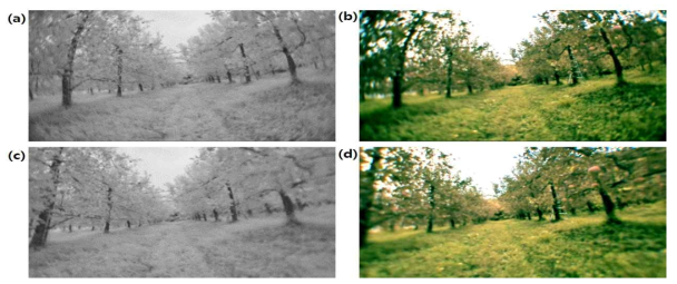 Vis-NIR Dual Images captured using developed dual image system.