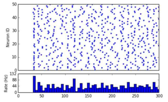 Brunel network model에 만개의 신경을 적용하여 시뮬레이션 했을 때의 300ms 동안의 50개의 신경활성화 raster plot (상), 그리고 해당 spike rate (하)