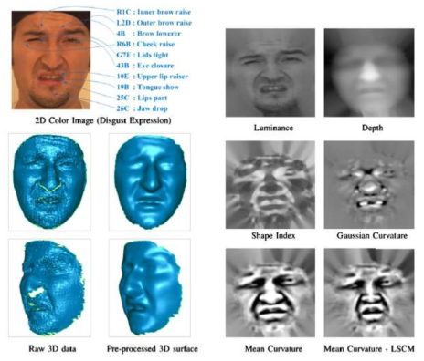 3D depth로부터 AU를 검출하기 위하여 사용된 특징들