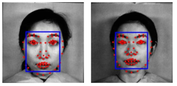 ASM 특징점을 이용한 얼굴 영역 정규화