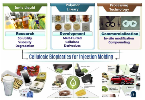 셀룰로오스 기반 바이오플라스틱 개발기술과 응용 산업분야.