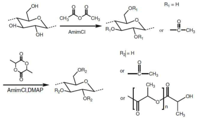 Synthesis of CA-g-PLA by “one-pot” process in AmimCl.