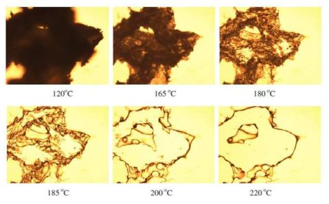 Optical micrographs of CA-g-PLA copolymers heating at different temperatures (DSCA = 1.97, DSPLA = 0.47, MSPLA = 2.25).
