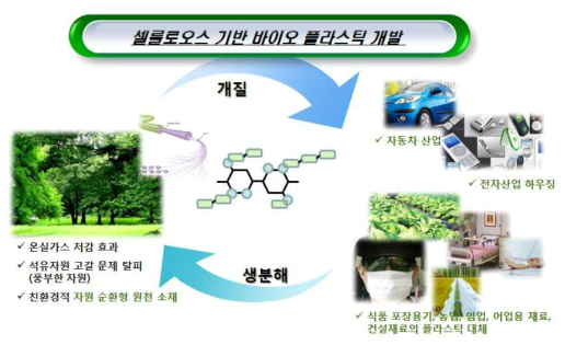 셀룰로오스 기반 바이오플라스틱 소재의 자연 선순환 구조.