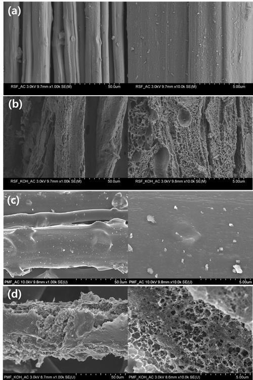 볏짚과 닥나무를 이용하여 제조한 탄소섬유 SEM 표면 사진