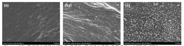 활성탄소필름(ACF)과 팔라듐-활성탄소필름 복합체(Pd-ACF)의 SEM