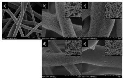 (a)CNF, (b)CNF-SLS-1g-WWO, (c) CNF-SLS-1g-WW, (d) CNF-SLS-0.5g-WWO, (e) CNF-SLS-0.5g-WW의 SEM 사진.