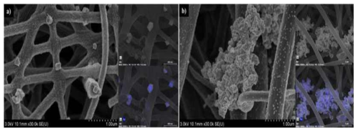 (a) Pd/CNF-SLS-1g-WWO, (b) Pd/CNF-SLS-1g-WW의 SEM 사진.