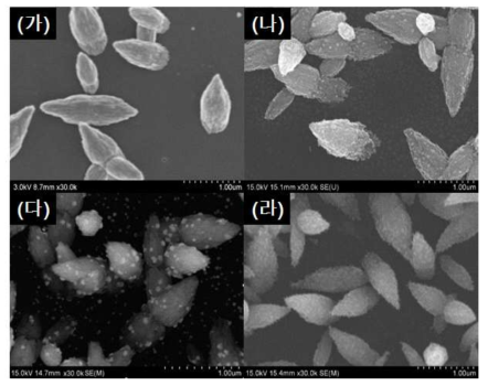 (가) ZnO/CF, (나) Ag-ZnO/CF, (다) Au-ZnO/CF, (라) Pt-ZnO/CF의 주사전자현미경사진.